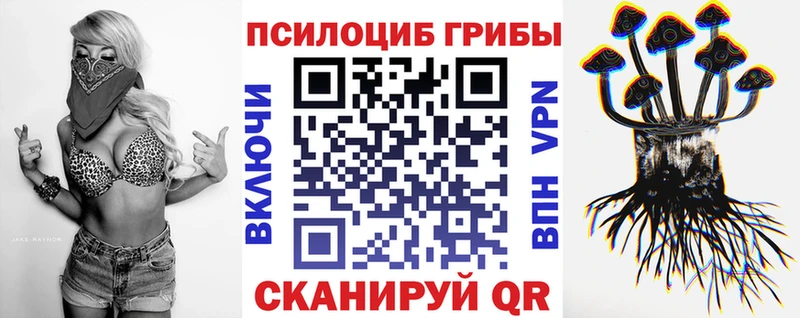 продажа наркотиков  Павлово  Псилоцибиновые грибы Psilocybine cubensis 